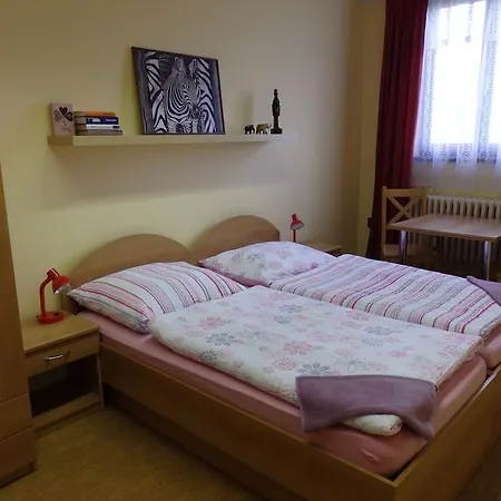 Casa de hóspedes Janovice Janovice nad Úhlavou